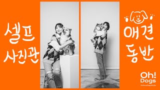 애견동반 셀프사진관에서는 무슨일이!?