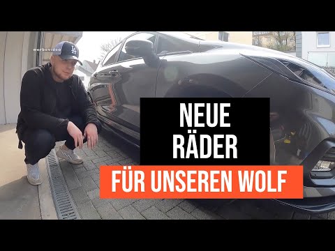 Neue Felgen für unseren Wolf im Schafspelz I Fiesta ST MK8 I Nicht Ohne Probleme