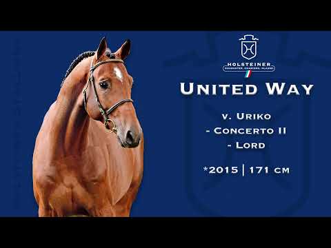 Holsteiner Verbandshengste 2023 | United Way