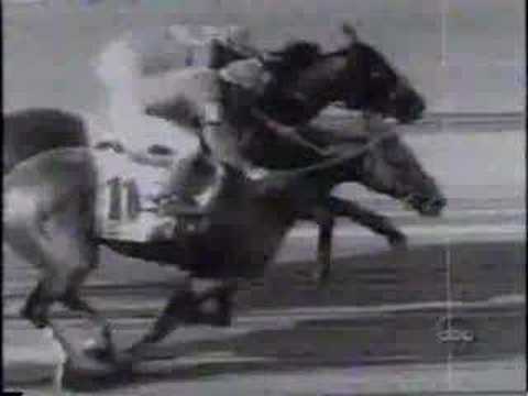 1999 Pimlico Special (Part 1)