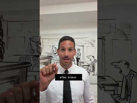 נהיגה בלי ביטוח חובה? האסון האמיתי הוא לא הדו״ח