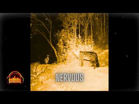 [FREE] Lakeyah x Lebra Jolie Type Beat - Nervous