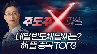 내일 반도체 날씨는? 해 뜰 종목 TOP3 | 홀짝박사 '주도주 X파일' 260108