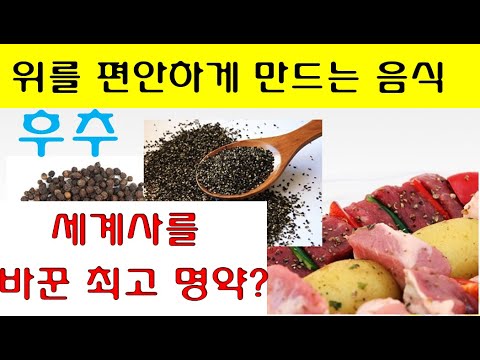 , title : '후추의 효능, 위를 편안하게 만드는 음식 . 후추 세계사를 바꾼 최고의 명약? 무엇을 먹을까?'