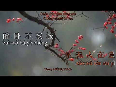 Karaoke Hồng đậu sinh nam quốc (tương tư)/Đồng Lệ - 红豆生南国（相思）/童丽
