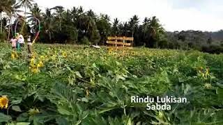Download lagu Rindu lukisan mp3