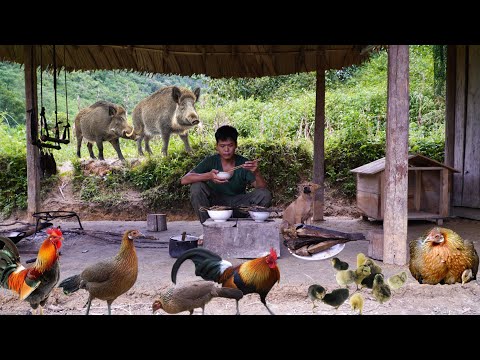 200 days of survival in the wild, farm building, wild hunting, traps, wild animals, night hunting