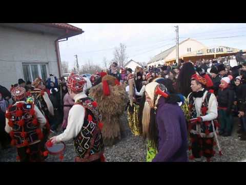 Ursul de la Ceplenita anul 2016