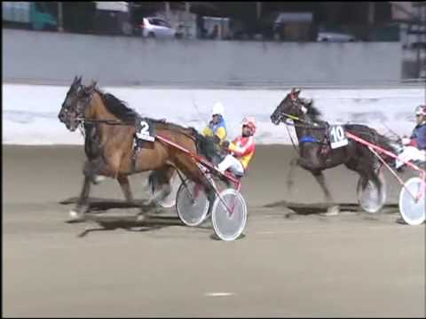 Trotto 23/12/2016 - 5ª corsa