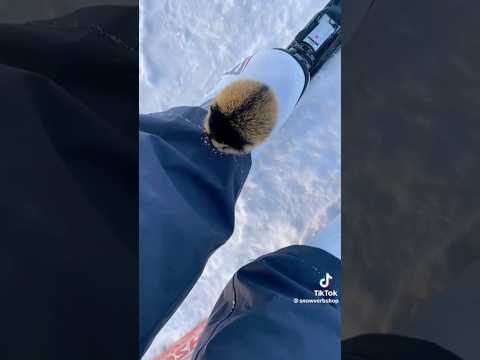 #lemmings attack - wait till the end