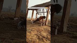 will keep moving forward on the path to success as long as I live."#workout #discipline #motivation