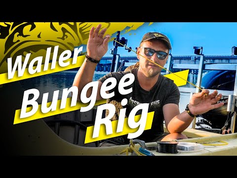 B wie Bungee Rig - So kannst du das Rig günstig und einfach selber bauen! #wallerwelt2