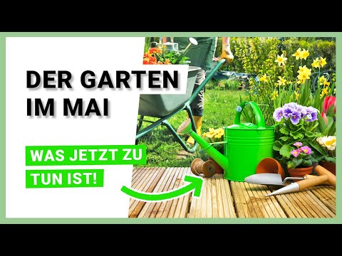 The garden in May – what to do now!