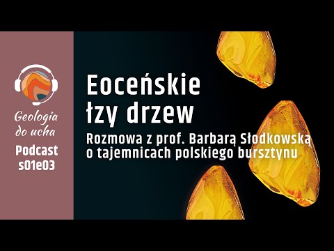 Baltic amber is a prehistoric world frozen in a drop of tree resin. | Geology to the ear