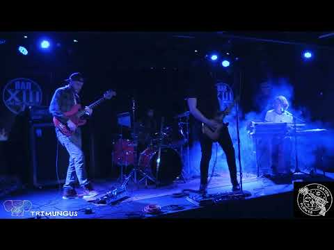 Canyon Flower - Live @BarXIIIWilmington - 03/25/23