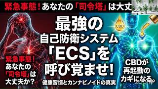 『麻と健康🌿』ライブ #32 健康習慣・カンナビノイドとECS