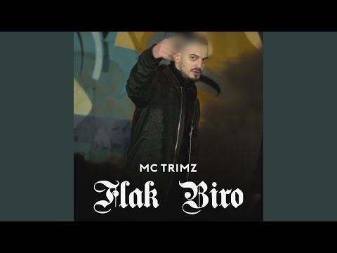 Flak Biro