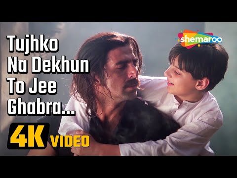 Tujhko Na Dekhu Toh Jee Ghabarata Hai — watch video