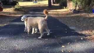 Can&#39;t Get Enough of My Friend