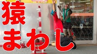 猿まわしがやってきた。 ほたる君(猿)が頑張ります!