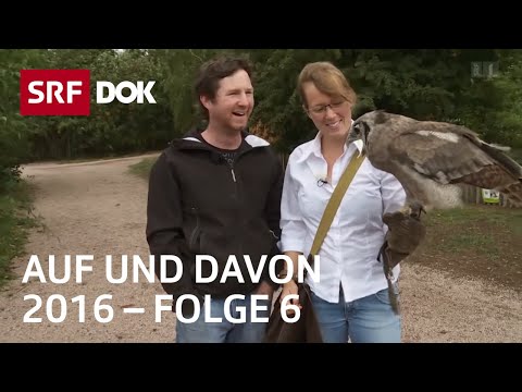 , title : 'Schweizer Auswanderer | Deutschland, Kanada, Spanien | Auf und davon 2016 (6/6) | Doku | SRF Dok'