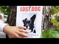 How to find a lost pet: Expert advice to bring your dog or cat home safely