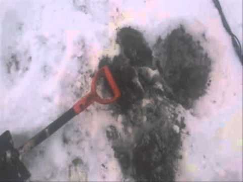 Moje Wykopki Odc. 174 (SE02 E74)