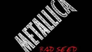 Metallica - Bad Seed