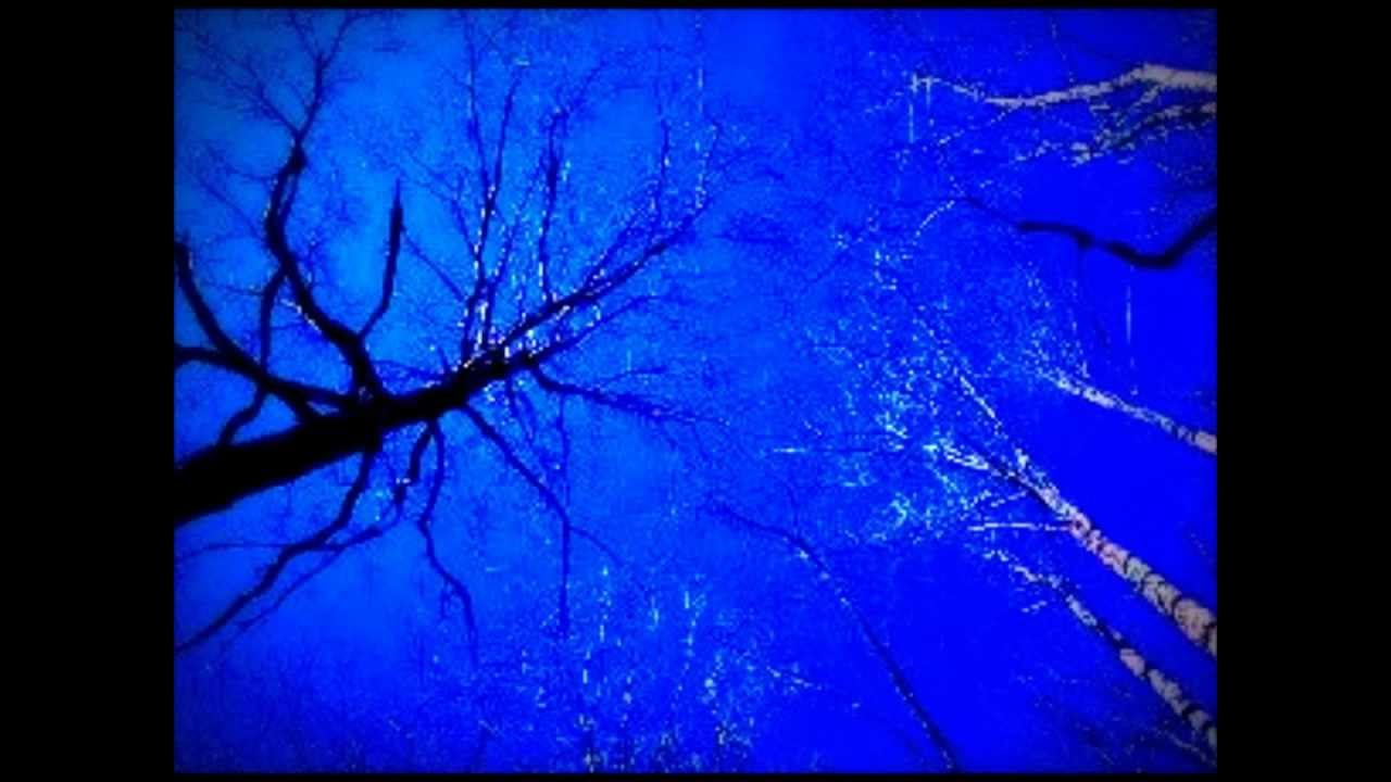 Você pode curar a sua vida