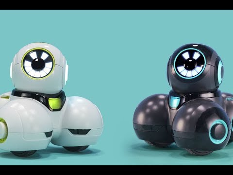 Meet Cue Robot | Wonder Workshop