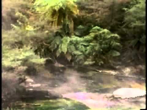 seedless vascular plants