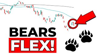 Stock Market BEARS FLEX... NOW WHAT?