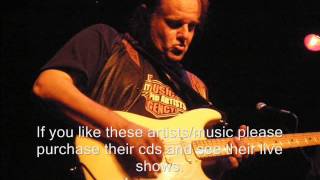 The Reason I'm Gone - Walter Trout