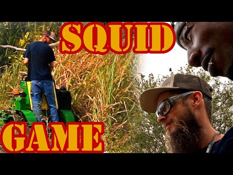 Neglected PUBLIC NUISANCE FREE yard MAKEOVER ODDLY SATISFYING [Squid Game]