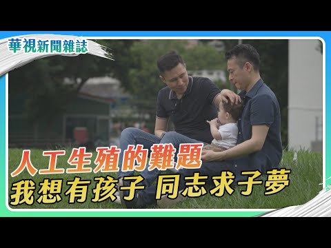【求生記 人工生殖的難題】同志求子夢｜華視新聞雜誌