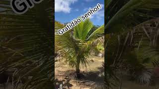 #gratidão #bomdia #deustemumapalavrapravoce