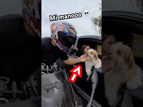 por andar de INQUIETO me van a SALIR mordiendo #humor #risas #motos #bromas