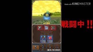 【テリワン生声実況】れっぷうの扉-黄金郷-入手魔物とは⁉️part15