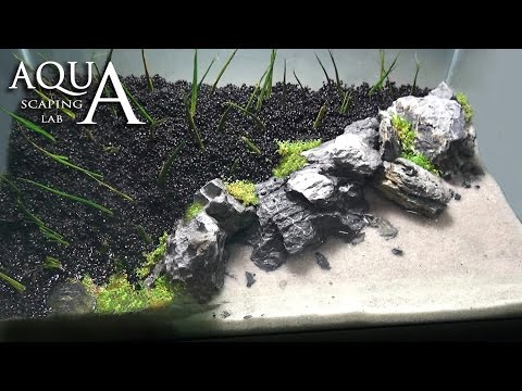Aquascaping Lab - Tutorial Iwagumi Aquarium 