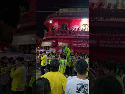 Banda Canarios latin band Catarina San Marcos