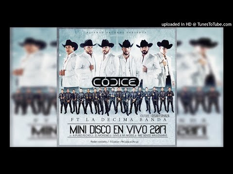 Codice - Me Siento Millonario (2017)