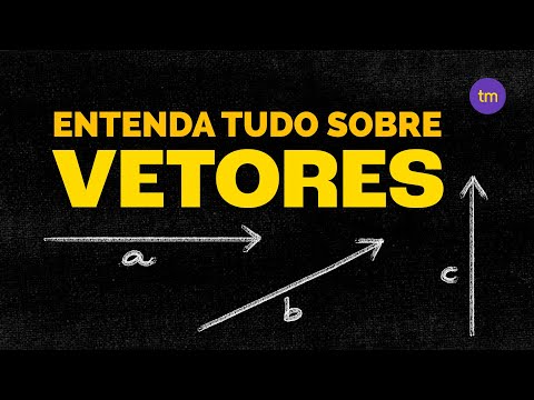 O que são VETORES?