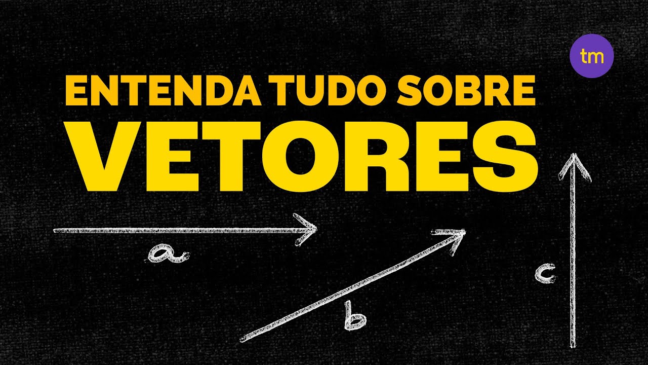 O que são VETORES?