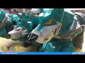 Kyuranger DX Kerberos Voyager