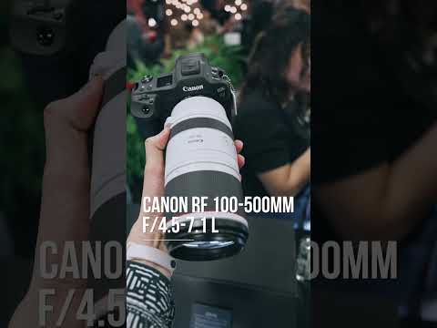 Which would you choose?: Canon RF 100-500mm f/4.5-7.1 or Sigma 60-600mm f/4.5-6.3