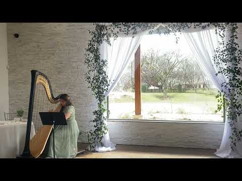 Promotional video thumbnail 1 for Lethicia Caravello the Harpist