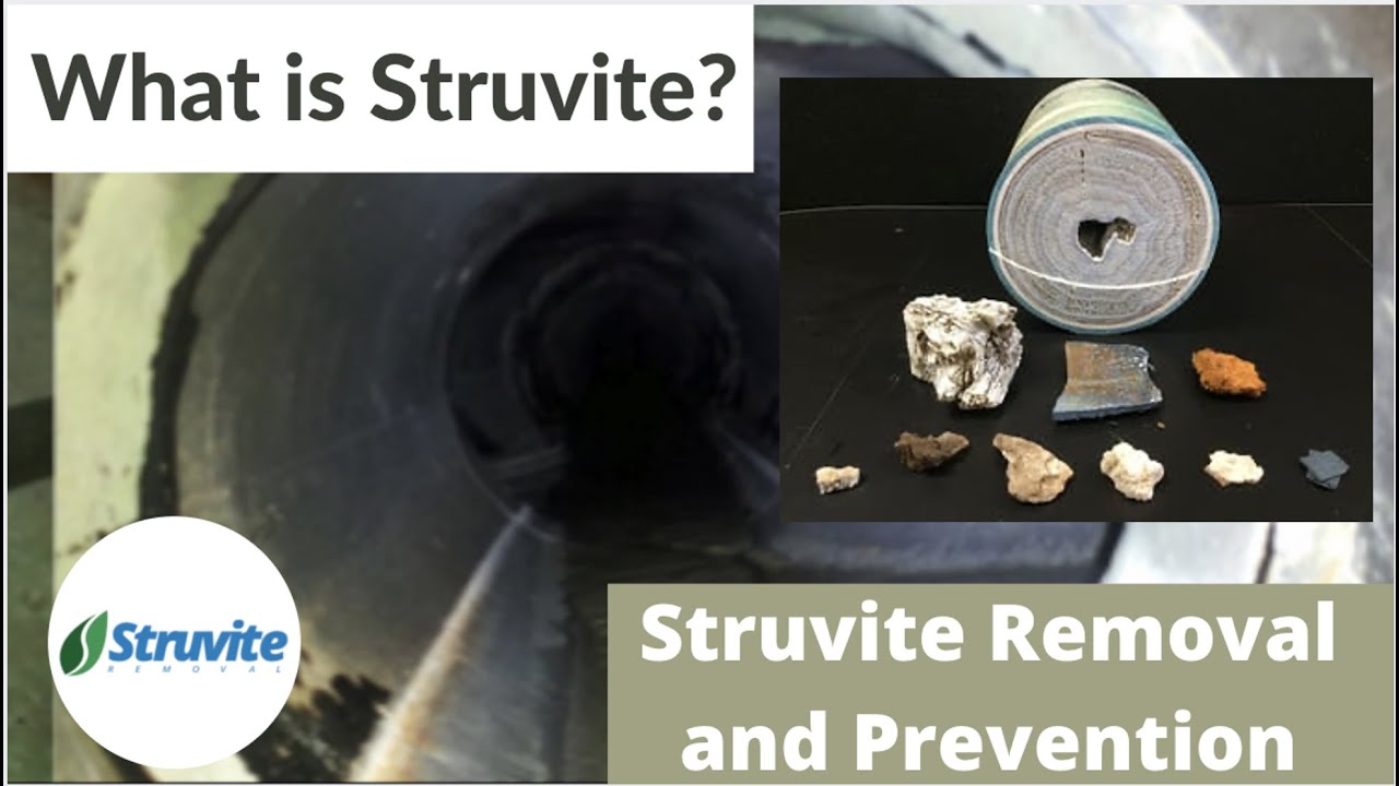 RV Black Tank Struvite Cleaning - Before and After