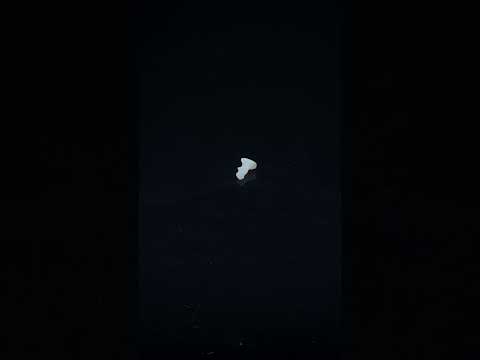 YouTube 썸네일