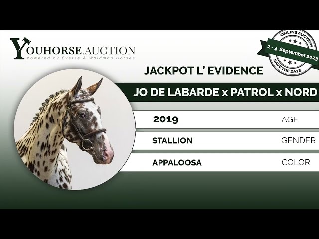 Jackpot l'Evidence @ show