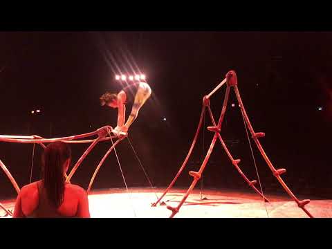 Shae Zamardi- AMAZON Bars- Cirque Du Soleil Amaluna